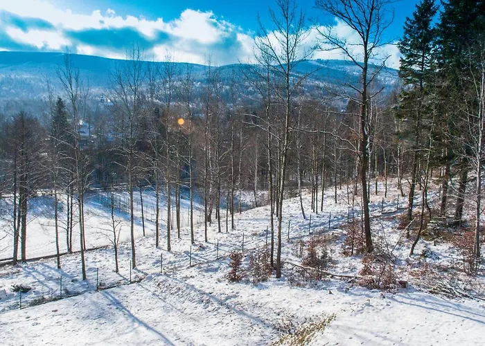 Izerskie - Ul. Cicha 13d-e Apart Otel